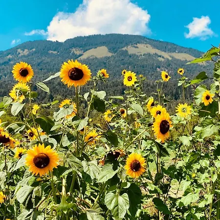 Apartma Botanika * Tržič